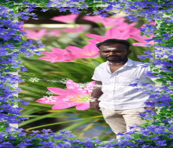 Member