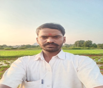 Member