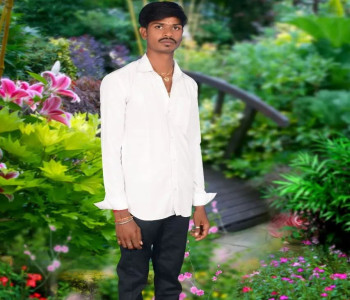 Member
